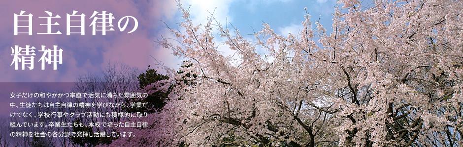 E尊国际全站登录